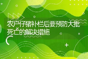 农户仔猪补栏后要预防大批死亡的解决措施