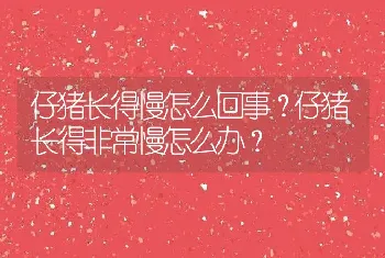 仔猪长得慢怎么回事？仔猪长得非常慢怎么办？