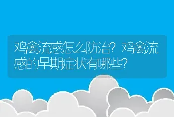 鸡禽流感怎么防治？鸡禽流感的早期症状有哪些？