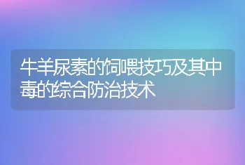 牛羊尿素的饲喂技巧及其中毒的综合防治技术