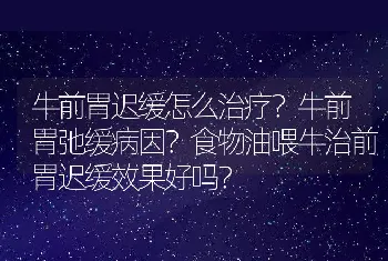 牛前胃迟缓怎么治疗？牛前胃弛缓病因？食物油喂牛治前胃迟缓效果好吗？