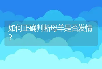 如何正确判断母羊是否发情？