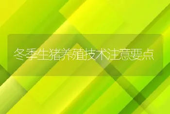 冬季生猪养殖技术注意要点