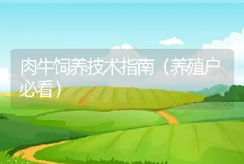 肉牛饲养技术指南（养殖户必看）