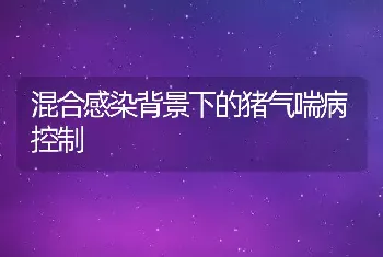 混合感染背景下的猪气喘病控制