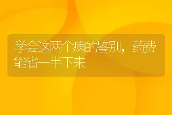 学会这两个病的鉴别，药费能省一半下来