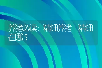 养猪必读：精细养猪 精细在哪？