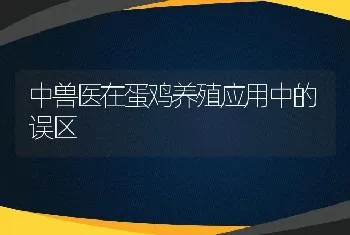 中兽医在蛋鸡养殖应用中的误区