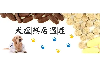 犬瘟热后遗症有哪些