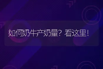 如何奶牛产奶量？看这里！