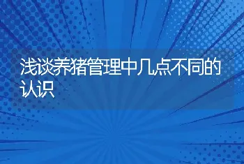 浅谈养猪管理中几点不同的认识