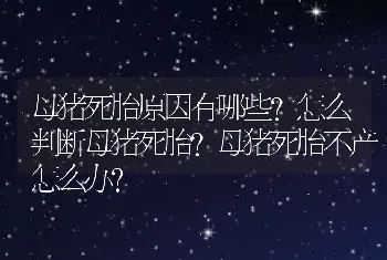 母猪死胎原因有哪些？怎么判断母猪死胎？母猪死胎不产怎么办？