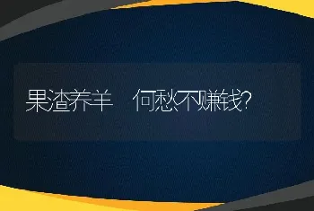 果渣养羊 何愁不赚钱？