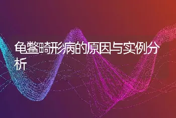 龟鳖畸形病的原因与实例分析