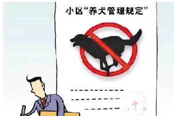 为文明养犬，广州某小区“宠物环保屋”很受欢迎