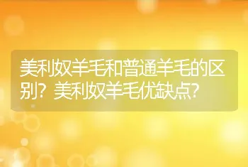 美利奴羊毛和普通羊毛的区别？美利奴羊毛优缺点？