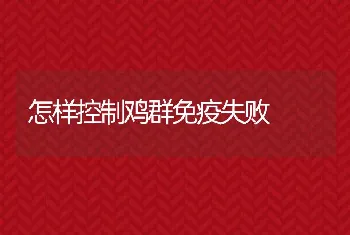 怎样控制鸡群免疫失败