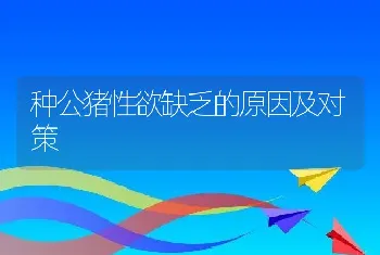 种公猪性欲缺乏的原因及对策