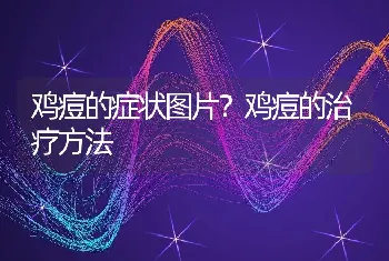 鸡痘的症状图片？鸡痘的治疗方法