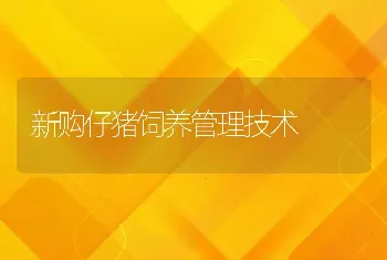 新购仔猪饲养管理技术