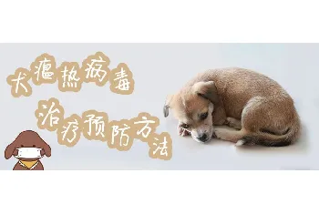 犬瘟热病毒治疗预防方法