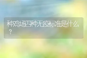 种鸡场四种无疫标准是什么？