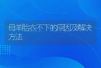 母羊胎衣不下的原因及解决方法