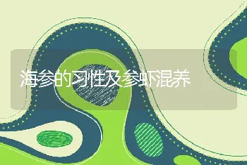 海参的习性及参虾混养