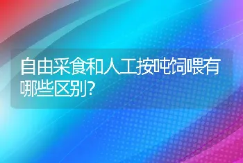 自由采食和人工按吨饲喂有哪些区别？