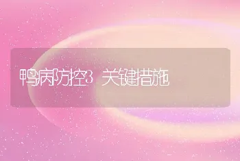 鸭病防控3关键措施