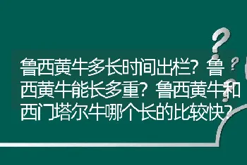 猪蓝耳病疫苗说明书:打猪蓝耳病疫苗多久?