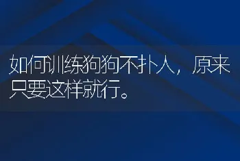 如何训练狗狗不扑人，原来只要这样就行。