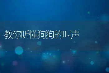 教你听懂狗狗的叫声