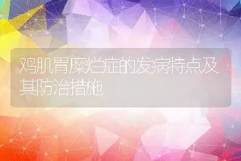 鸡肌胃糜烂症的发病特点及其防治措施