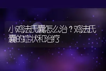 小鸡法氏囊怎么治？鸡法氏囊的症状和治疗