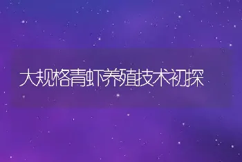 大规格青虾养殖技术初探