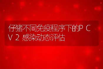 仔猪不同免疫程序下的PCV2感染动态评估