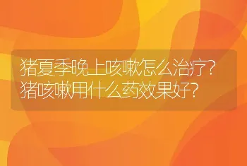 猪夏季晚上咳嗽怎么治疗？猪咳嗽用什么药效果好？