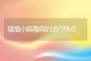 猪细小病毒病的流行特点