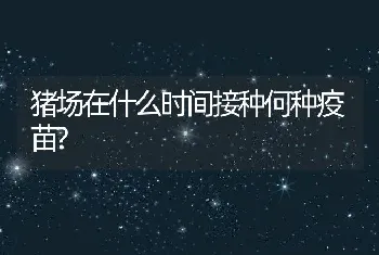 猪场在什么时间接种何种疫苗?