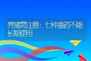 养猪需注意：七种兽药不能长期使用