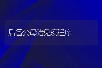 后备公母猪免疫程序