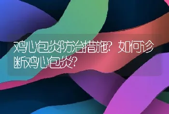 鸡心包炎防治措施?如何诊断鸡心包炎?