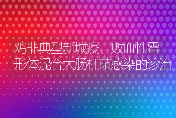 鸡非典型新城疫、败血性霉形体混合大肠杆菌感染的诊治