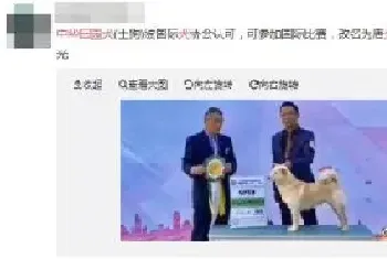 中华田园犬更名为唐犬?主办方辟谣：不能划等号