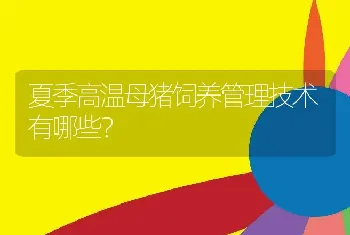 夏季高温母猪饲养管理技术有哪些？