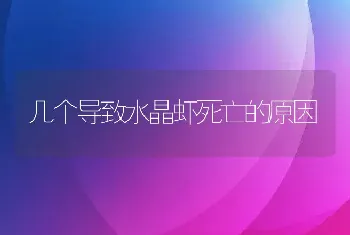 几个导致水晶虾死亡的原因