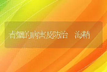 中草药治疗母猪产后8种病