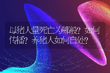 母猪大量死亡为哪般？如何传播？养猪人如何自处？