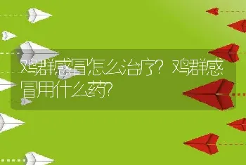 鸡群感冒怎么治疗？鸡群感冒用什么药？